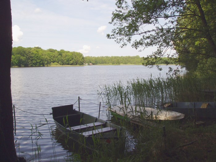 Ruderboot am See